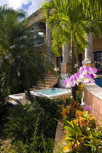 Coco De Mer Apartment Cruz Bay Exterior photo